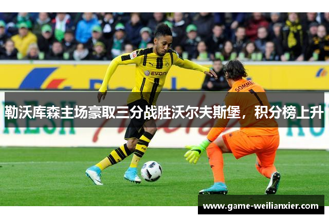 勒沃库森主场豪取三分战胜沃尔夫斯堡，积分榜上升