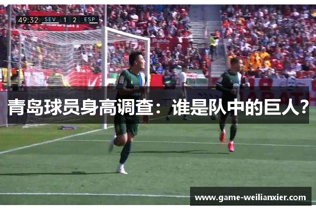 青岛球员身高调查：谁是队中的巨人？