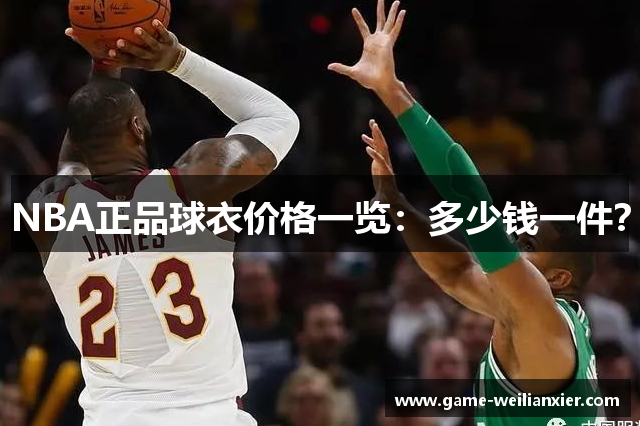 NBA正品球衣价格一览：多少钱一件？