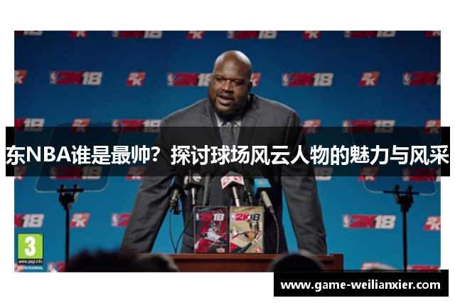 东NBA谁是最帅？探讨球场风云人物的魅力与风采