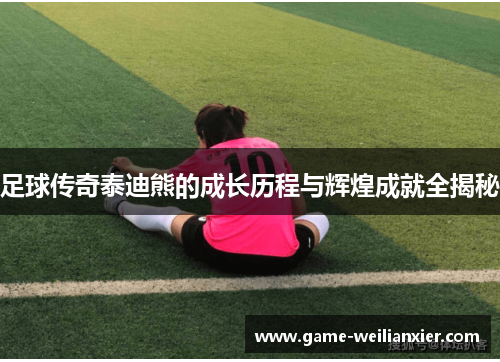 足球传奇泰迪熊的成长历程与辉煌成就全揭秘