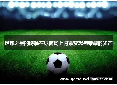 足球之星的诗篇在绿茵场上闪耀梦想与荣耀的光芒