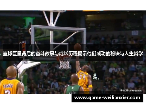 篮球巨星背后的奋斗故事与成长历程揭示他们成功的秘诀与人生哲学