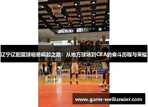 辽宁辽阳篮球明星崛起之路：从地方球场到CBA的奋斗历程与荣耀